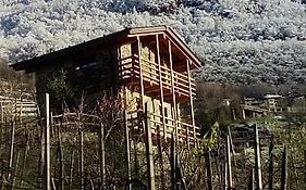 Chalet In Vigna